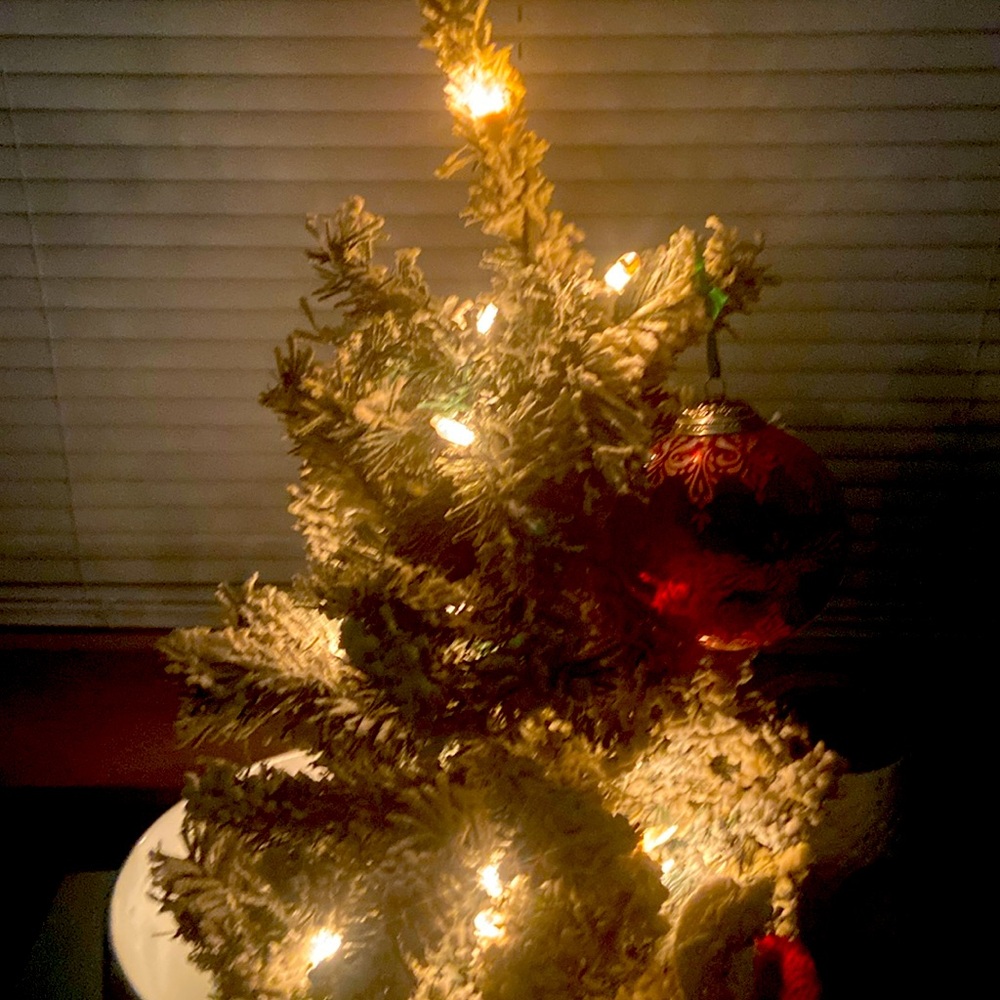 $7 Start Christmas fund